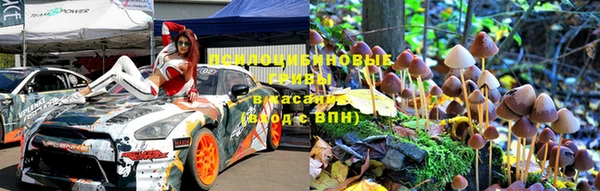соль ск Новодвинск