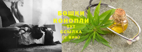 мет Новозыбков